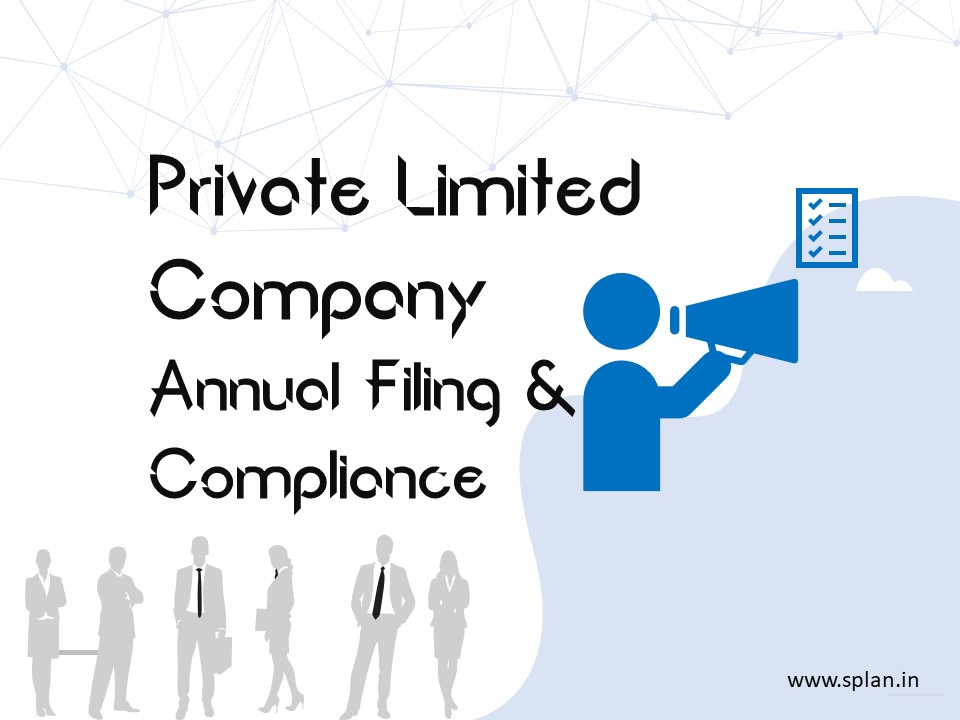 Company Annual Filing